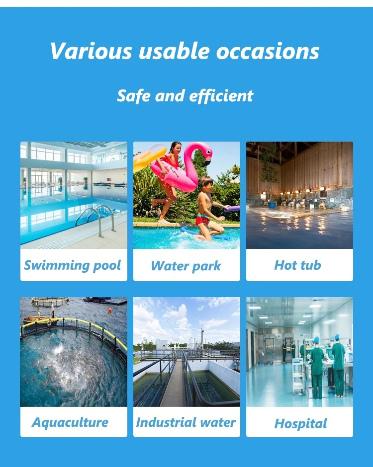 Trichloroisocyanuric Acid Chlorine Pool Cleaning Tablets (6)