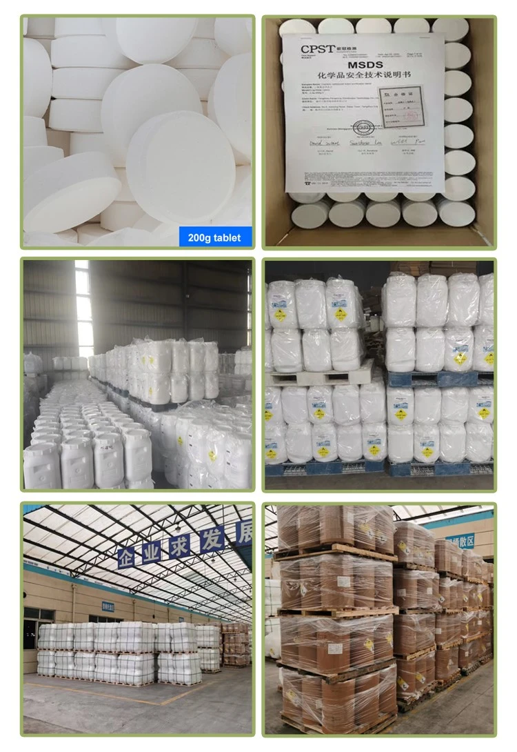 Trichloroisocyanuric Acid TCCA 90 Powder 50 kg (2)
