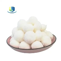 Swimming Pool Filter Balls