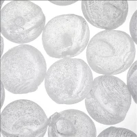 Tretman vode 1mm 3mm 6mm 10mm 20mm granulirani silifos polifosfatni kristalni RO kuglice protiv kamenca